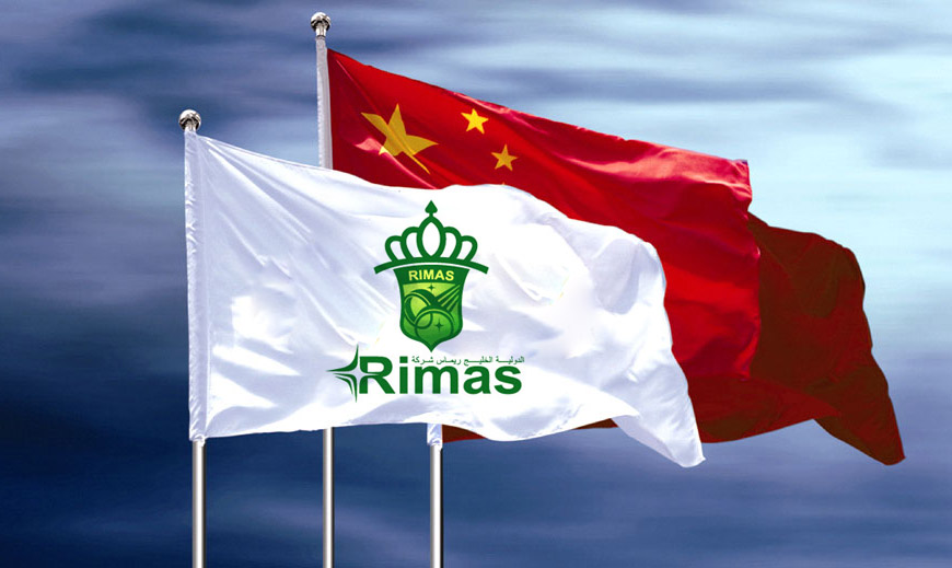 vi系統-中東GULF REMAS品牌設計在VI系統旗幟上的應用規范