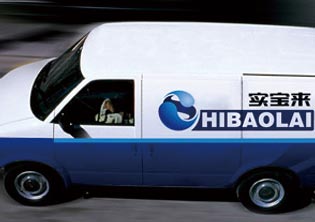 實寶來游樂設備公司VI設計系統