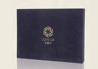 濟南艾麗爾內衣品牌標志設計