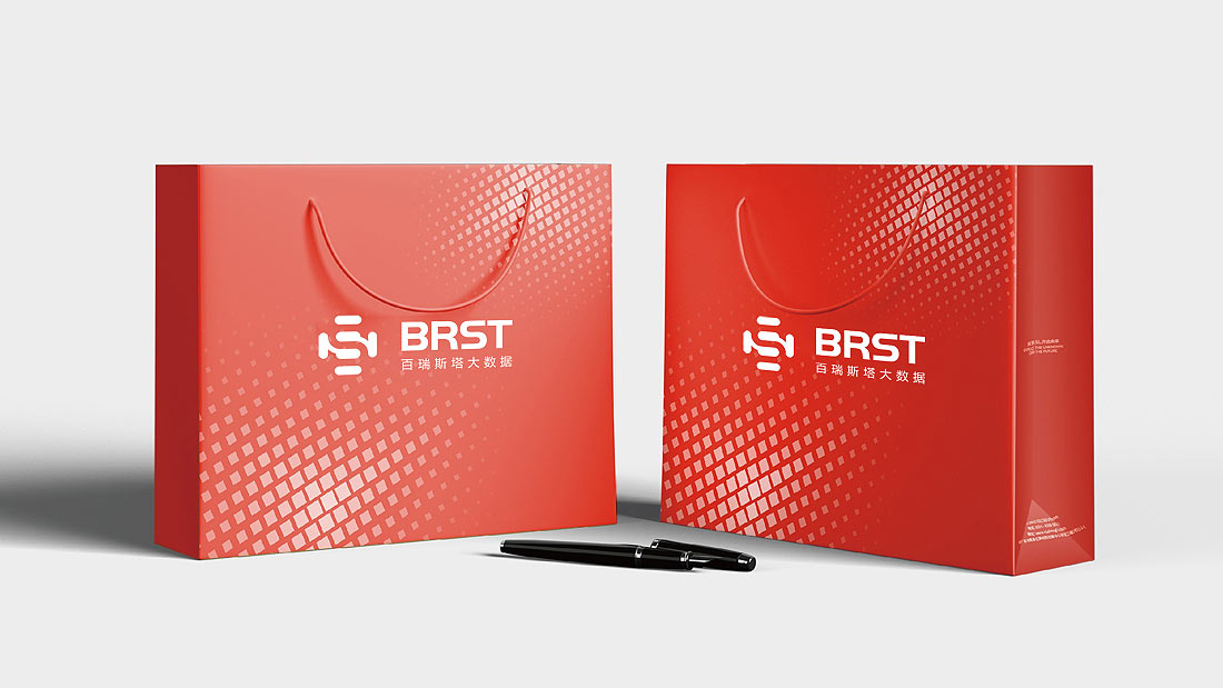 上海百瑞斯塔大數據公司LOGO設計-2