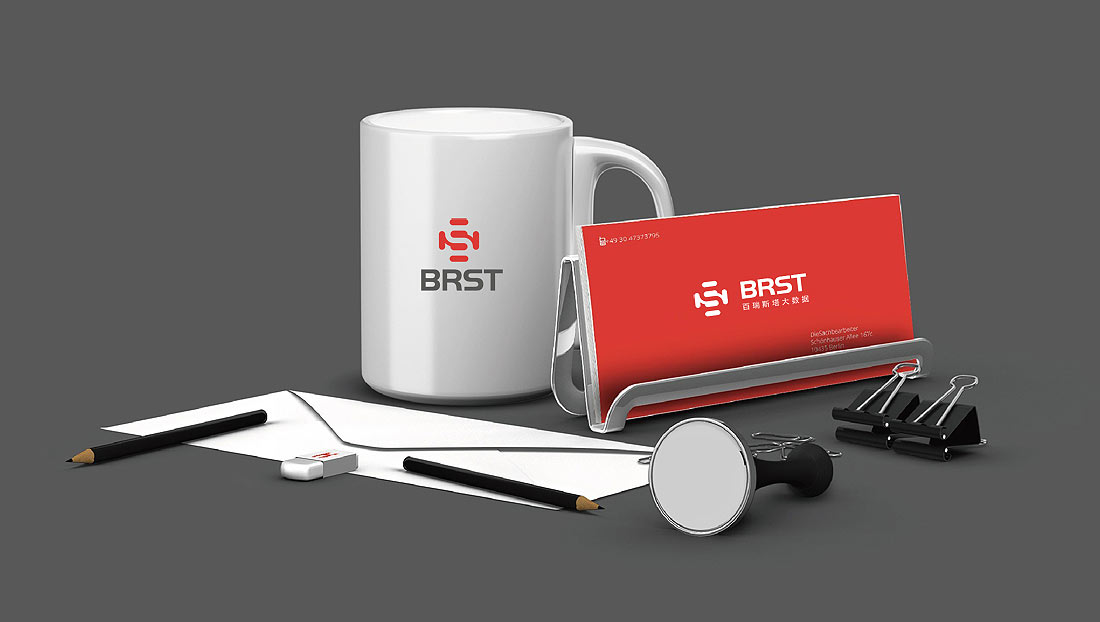 上海百瑞斯塔大數據公司LOGO設計-4