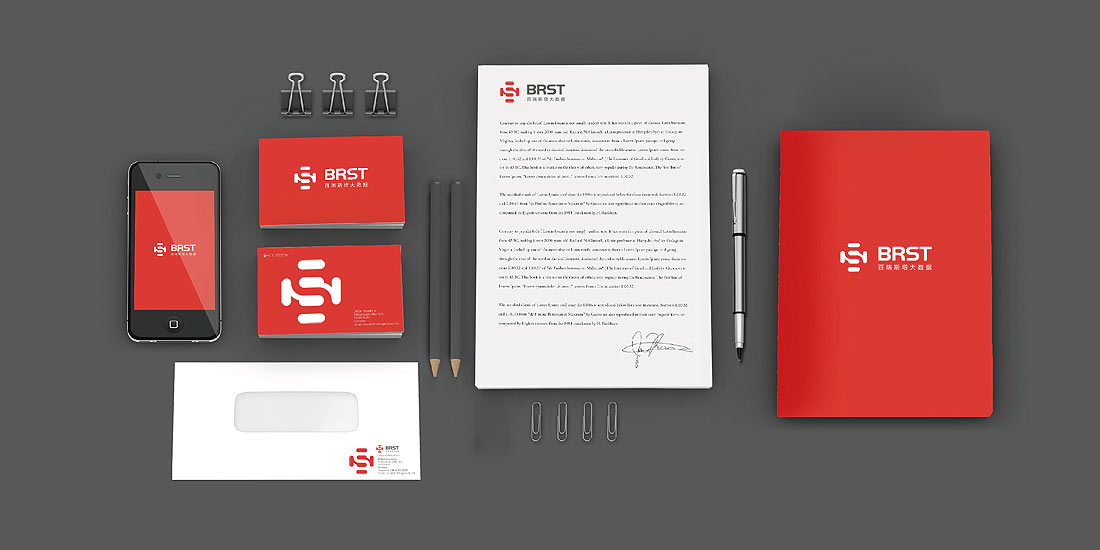 上海百瑞斯塔大數據公司LOGO設計-5
